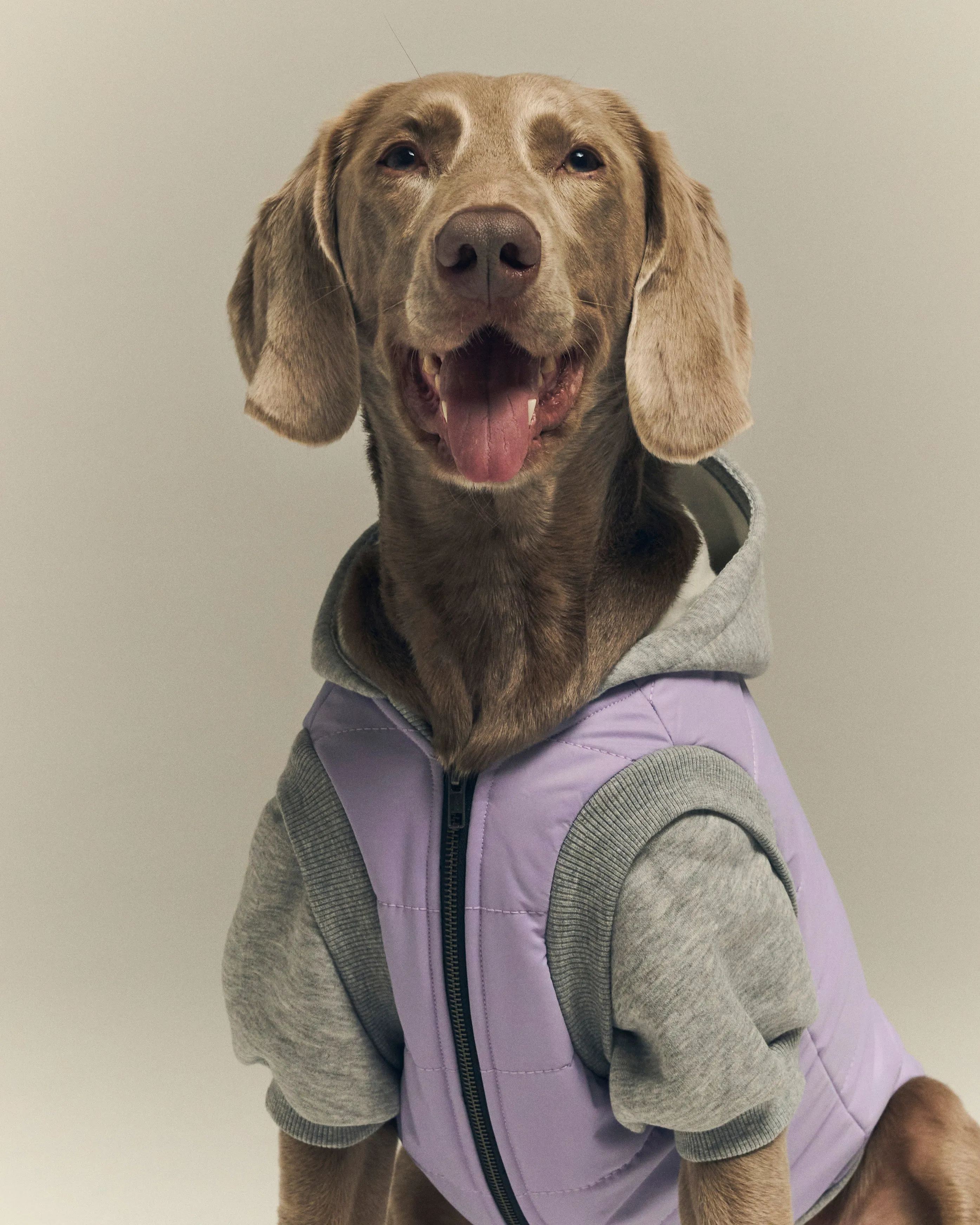 Mona's Lilac - Puffer Mont
