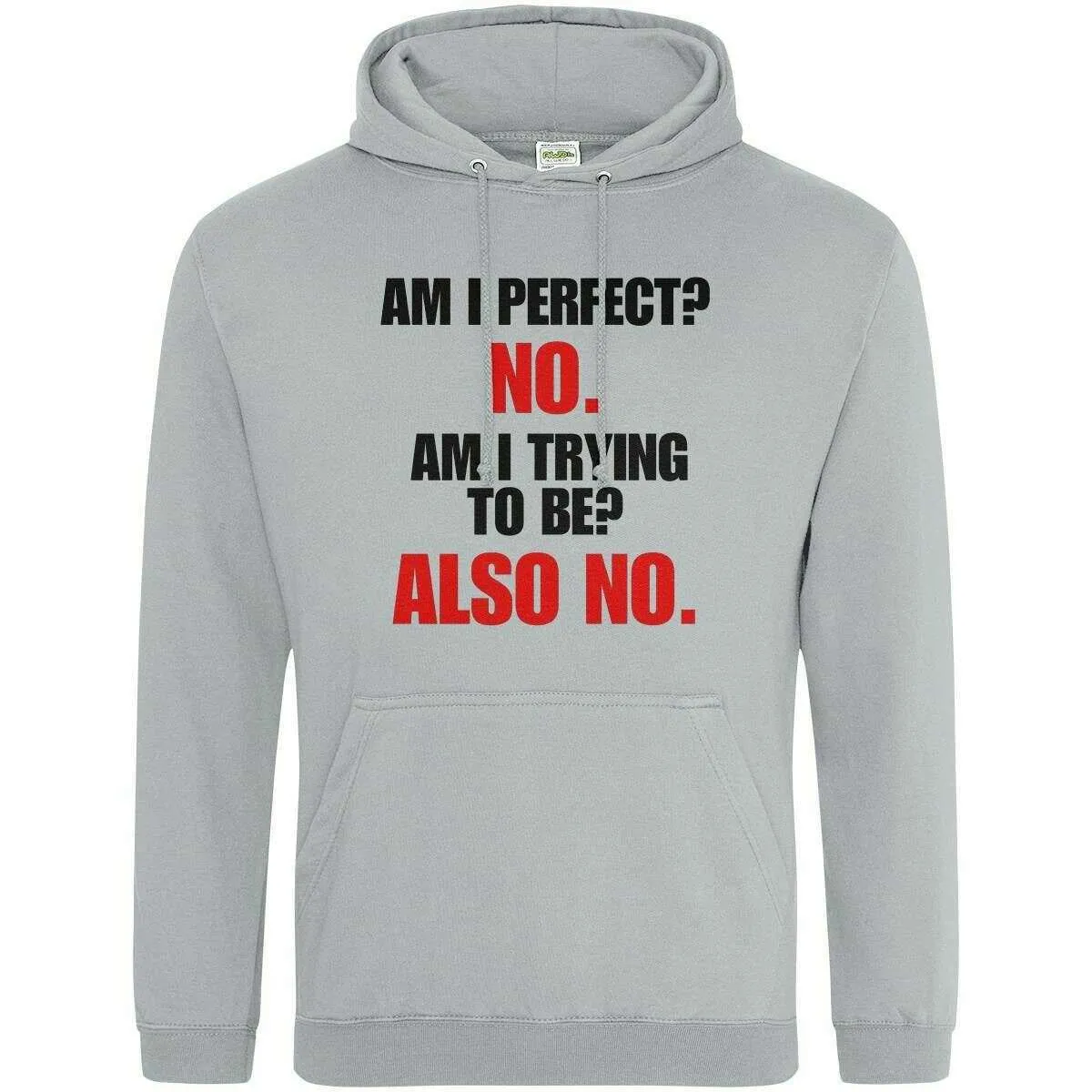 Teemarkable! Am I Perfect Hoodie