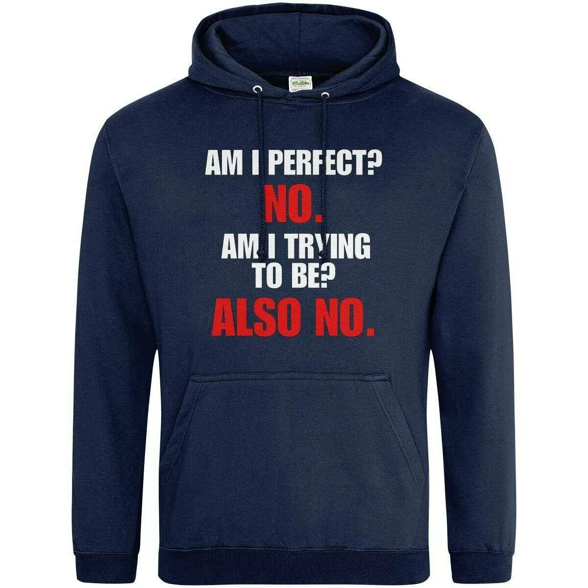Teemarkable! Am I Perfect Hoodie