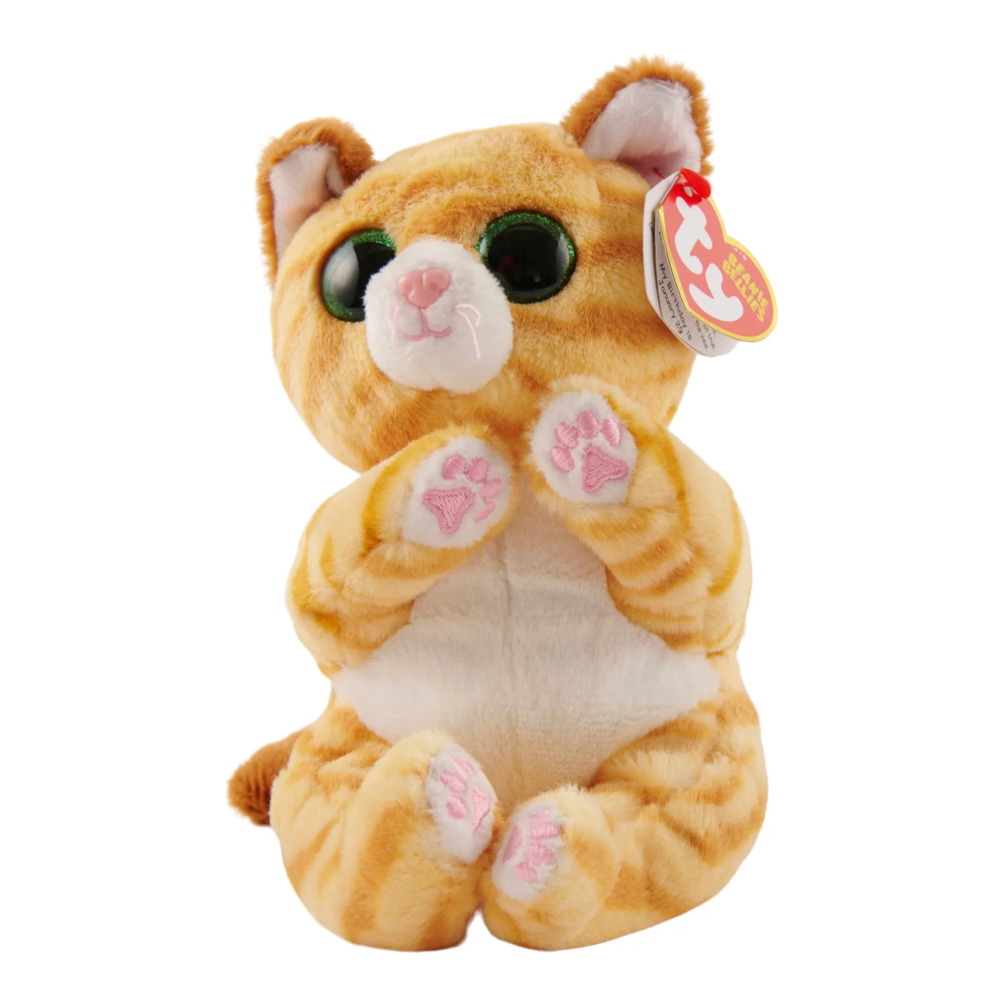 Ty Beanie Babies